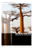 africa-grande raid del madagascar-2011 1