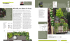 le idee - Architettura del Verde