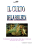 culto della bellezza