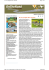 Al via il progetto Slow Tourism - slow