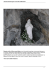 Santuario Nostra Signora di Lourdes di Martassina