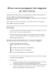 il questionario per minori