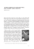 TestoNewsRivista_1_2013_Layout 1