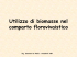 Diapositiva 1 - EcoFlower Terlizzi