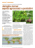Jatropha curcas: aspetti agronomici e produttivi