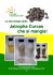 Jatropha Curcas che si mangia!