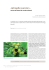 Jatropha curcas L. - SHERWOOD