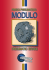 PNEUMATIC BRAKE