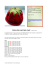 TOMATO BABY BEANIE di Kate Buchanan
