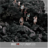 Catalogo 2015 - Mediterraneum4