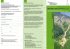 DENDROCRONOLOGIA E G.I.S - Università degli Studi di Trento