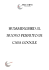 HUMMINGBIRD: IL NUOVO PENNUTO DI CASA GOOGLE