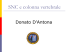 SNC e colonna