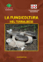 La fungicoltura nel Terralbese