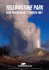 Yellowstone National Park era il primo