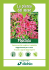Scheda Photinia Dichio