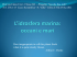 01_ idrosfera marina oceani e mari parte C