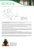 abies nordmanniana: dal seme alle celebrazioni natalizie.