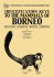 identification keys to the mammals of borneo