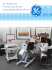 Stress Echo brochure PDF 524KB