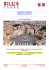 VIAGGIO A ROMA UDIENZA PAPALE