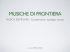 MUSICHE DI FRONTIERA_Paola Gizzi