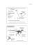 02/12/2013 1 “Lagosuchidae” Dinosauriformes Pube ed ischio
