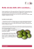 Sulla strada delle olive ascolane