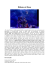 Visualizza documento allegato