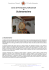 Apri PDF - Associazione Il Cerchio Sciamanico
