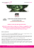 Scaricare il PDF - Vente