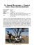 Merzouga - Zagora PDF
