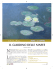 Monet a Milano