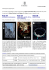 6. Newsletter Asta 36-37-38