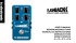 delay and looper