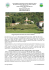 MONDONICO - volantino definitivo-3