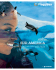 Sud America Viaggidea 2015