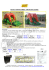 GIOCO GONFIABILE “DRAGON SLIDE”