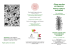 Progetto grafico: Anna Giuliani - Dipartimento di Lingue, Letterature