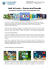 Look to Learn – Scenes and Sounds