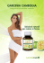 garcinia cambogia