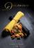 PDF Katalog - Delizia Food AG
