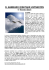 il gabbiano jonathan livingston