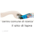 Il Sito di Ispra - IT