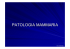 37. Patologia Mammaria