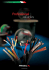 PROFESSIONAL ASSEMBLEd CABLES