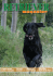Retriever Magazine
