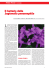 Il batterio della Legionella pneumophila