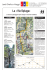 La «Via Spluga - Lardi Grafica Viaggi