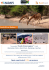 Quote a partire da € 2.015 per persona South African Explorer
